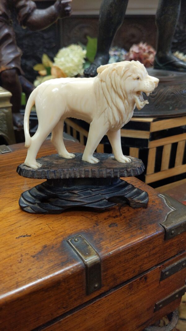 Carved Bone Lion on Ebony Carved Wood Base