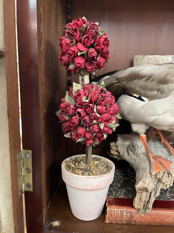 Rose Double Ball Topiary in Terracotta Pot