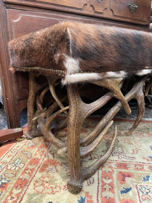 Cow Hyde and Antler Bench - M.D. Antiques in Richardson and Dallas Tx.