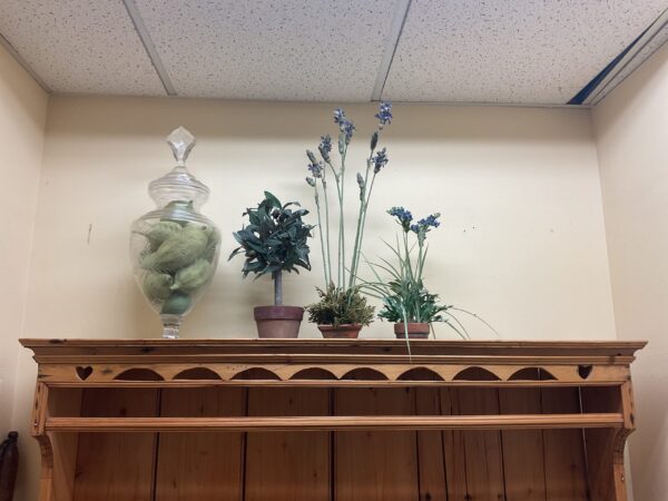 Silk Lavender Plant